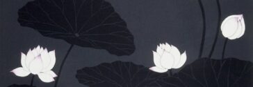 　　大阪M性感・SMサロン Regina｜凛沙Blog